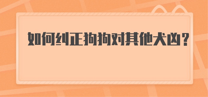 如何纠正狗狗对其他犬凶？