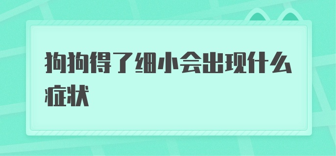 狗狗得了细小会出现什么症状