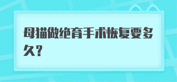 母猫做绝育手术恢复要多久?