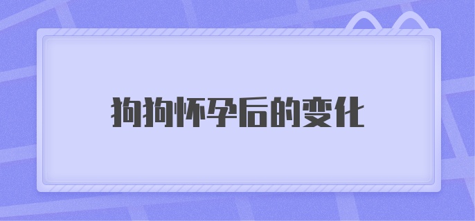 狗狗怀孕后的变化