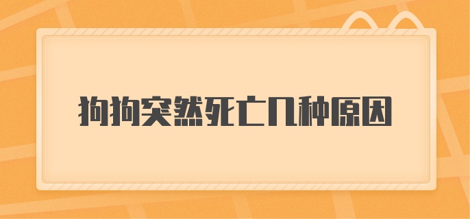 狗狗突然死亡几种原因