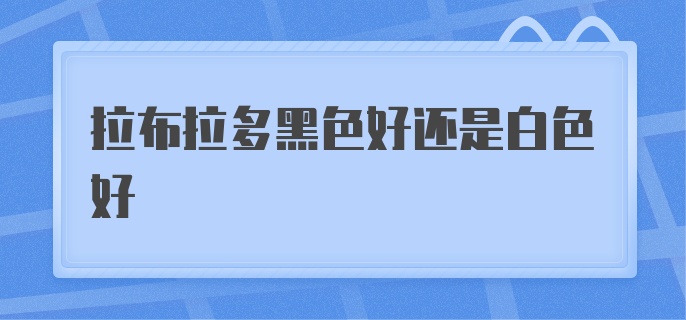 拉布拉多黑色好还是白色好