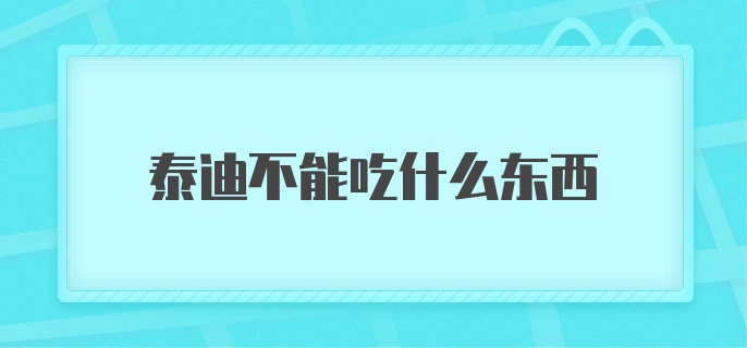 泰迪不能吃什么东西