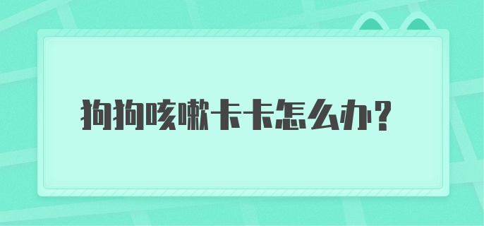 狗狗咳嗽卡卡怎么办？