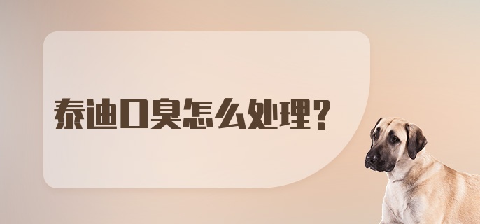 泰迪口臭怎么处理？