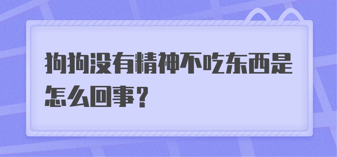 狗狗没有精神不吃东西是怎么回事？