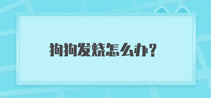 狗狗发烧怎么办?