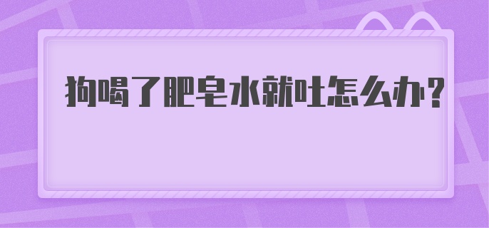 狗喝了肥皂水就吐怎么办？