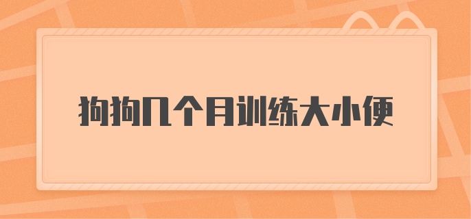 狗狗几个月训练大小便