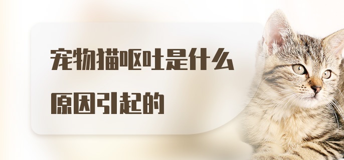 宠物猫呕吐是什么原因引起的