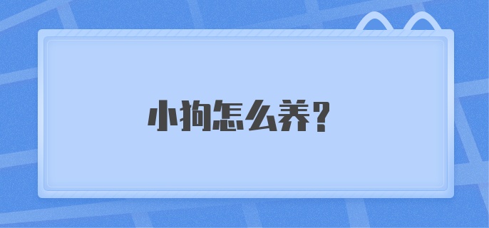 小狗怎么养?