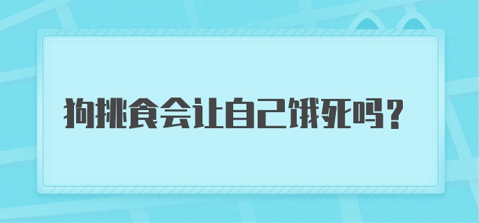 狗挑食会让自己饿死吗?