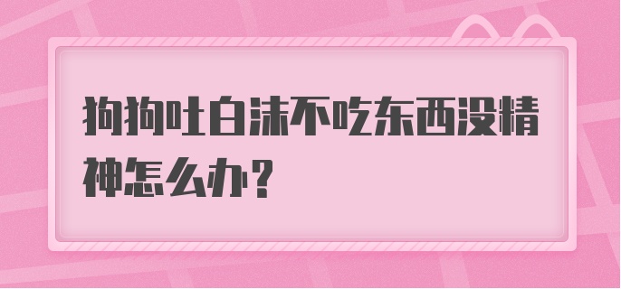 狗狗吐白沫不吃东西没精神怎么办？