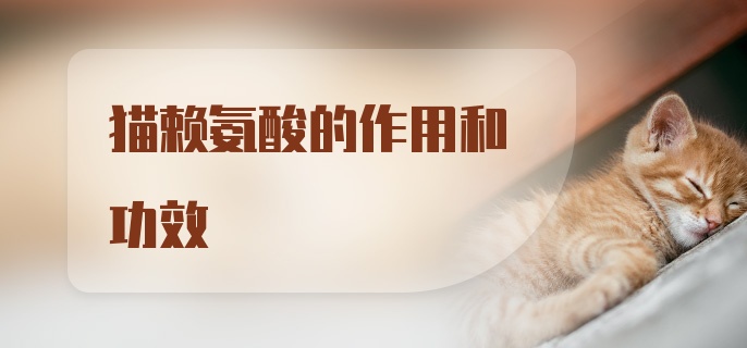 猫赖氨酸的作用和功效