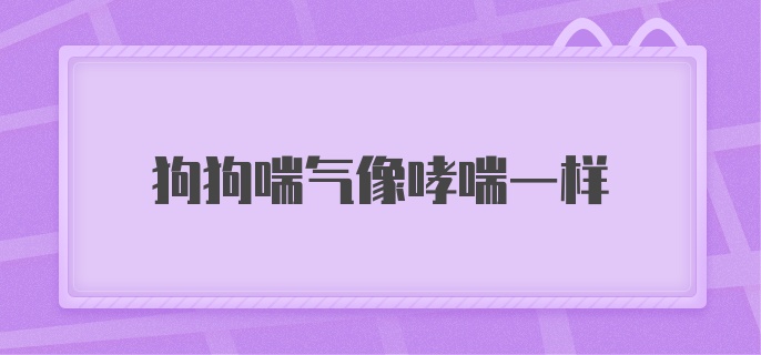 狗狗喘气像哮喘一样