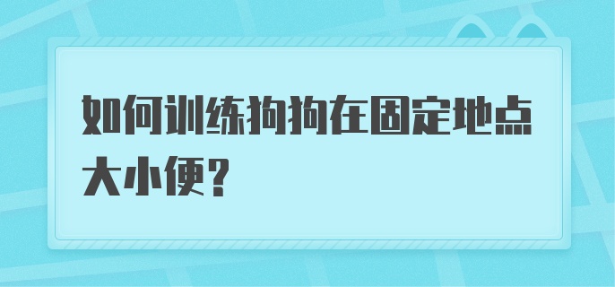 如何训练狗狗在固定地点大小便?