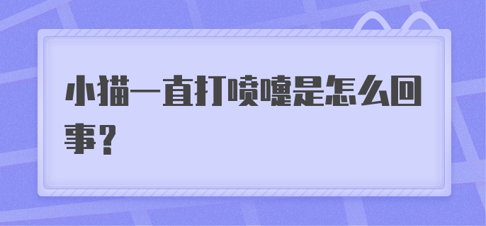 小猫一直打喷嚏是怎么回事？