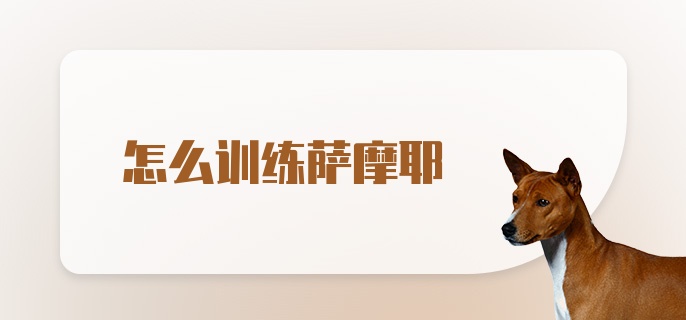 怎么训练萨摩耶