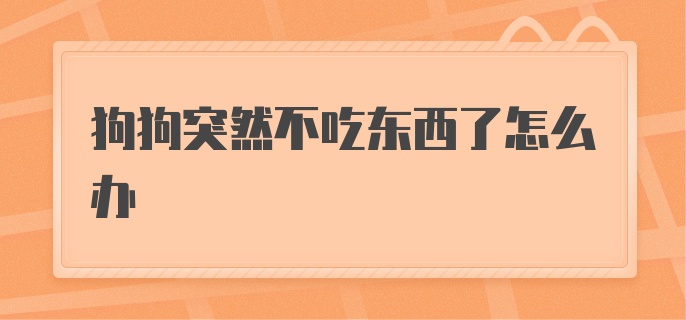 狗狗突然不吃东西了怎么办