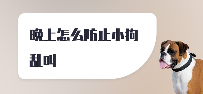 晚上怎么防止小狗乱叫