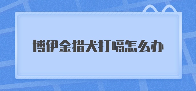 博伊金猎犬打嗝怎么办