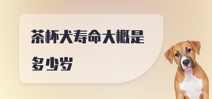 茶杯犬寿命大概是多少岁