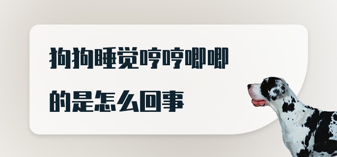 狗狗睡觉哼哼唧唧的是怎么回事