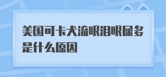 美国可卡犬流眼泪眼屎多是什么原因