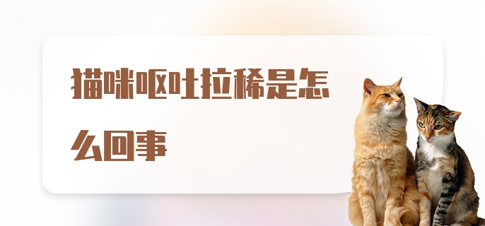 猫咪呕吐拉稀是怎么回事