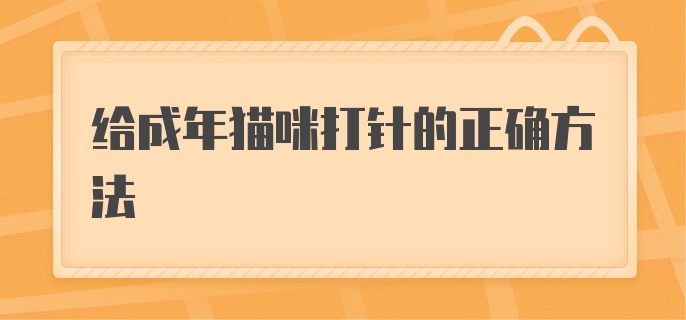 给成年猫咪打针的正确方法