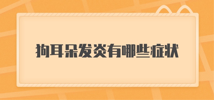 狗耳朵发炎有哪些症状