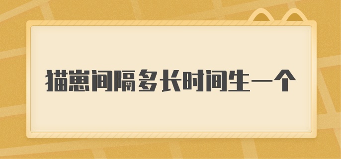 猫崽间隔多长时间生一个