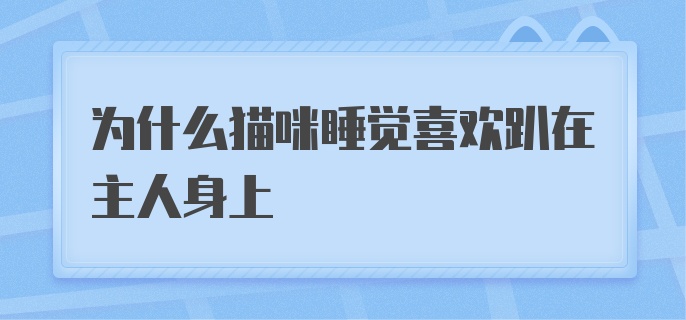 为什么猫咪睡觉喜欢趴在主人身上