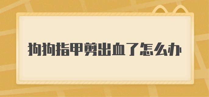 狗狗指甲剪出血了怎么办