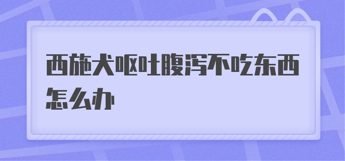 西施犬呕吐腹泻不吃东西怎么办