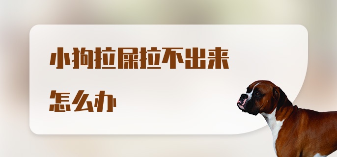 小狗拉屎拉不出来怎么办