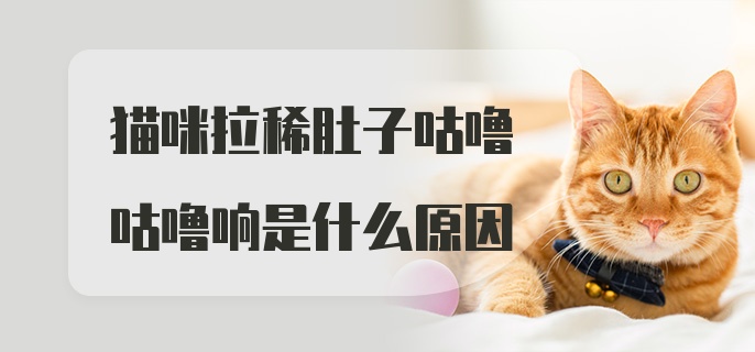 猫咪拉稀肚子咕噜咕噜响是什么原因