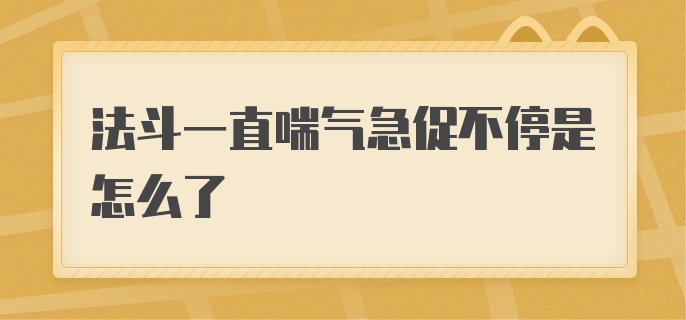 法斗一直喘气急促不停是怎么了