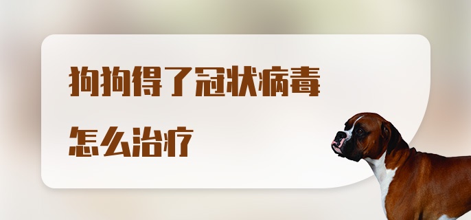 狗狗得了冠状病毒怎么治疗