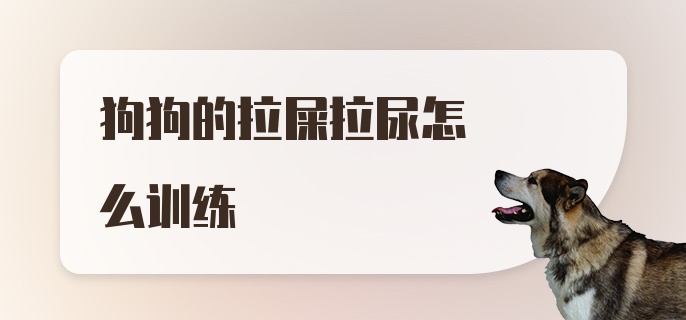 狗狗的拉屎拉尿怎么训练