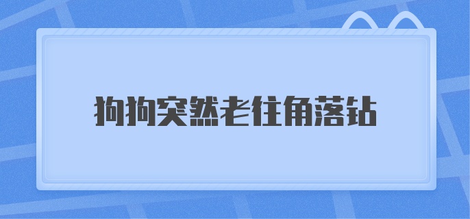 狗狗突然老往角落钻