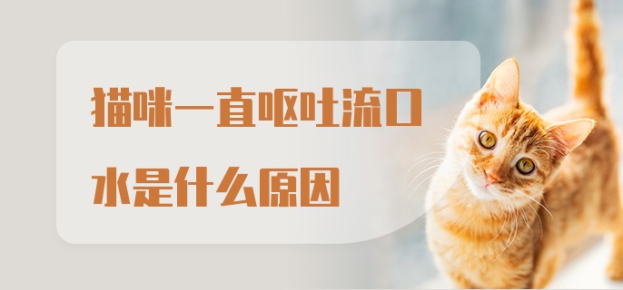 猫咪一直呕吐流口水是什么原因