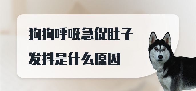 狗狗呼吸急促肚子发抖是什么原因