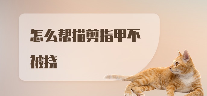 怎么帮猫剪指甲不被挠