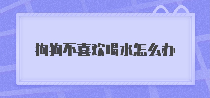 狗狗不喜欢喝水怎么办