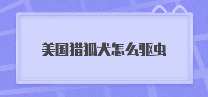 美国猎狐犬怎么驱虫