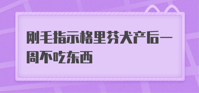 刚毛指示格里芬犬产后一周不吃东西