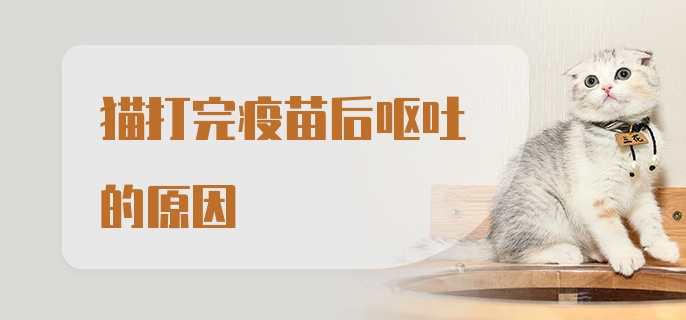 猫打完疫苗后呕吐的原因