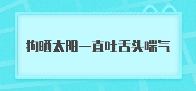 狗晒太阳一直吐舌头喘气