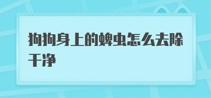 狗狗身上的蜱虫怎么去除干净